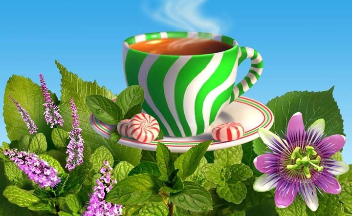 чайная церемония - чайная церемония - оригинал