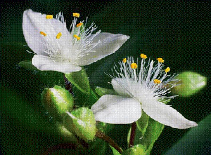 №632635 - предпросмотр