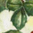 Предпросмотр схемы вышивки «ветка» (№632661)