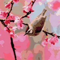 сакура  птичка - птица, ветка, цветы - оригинал