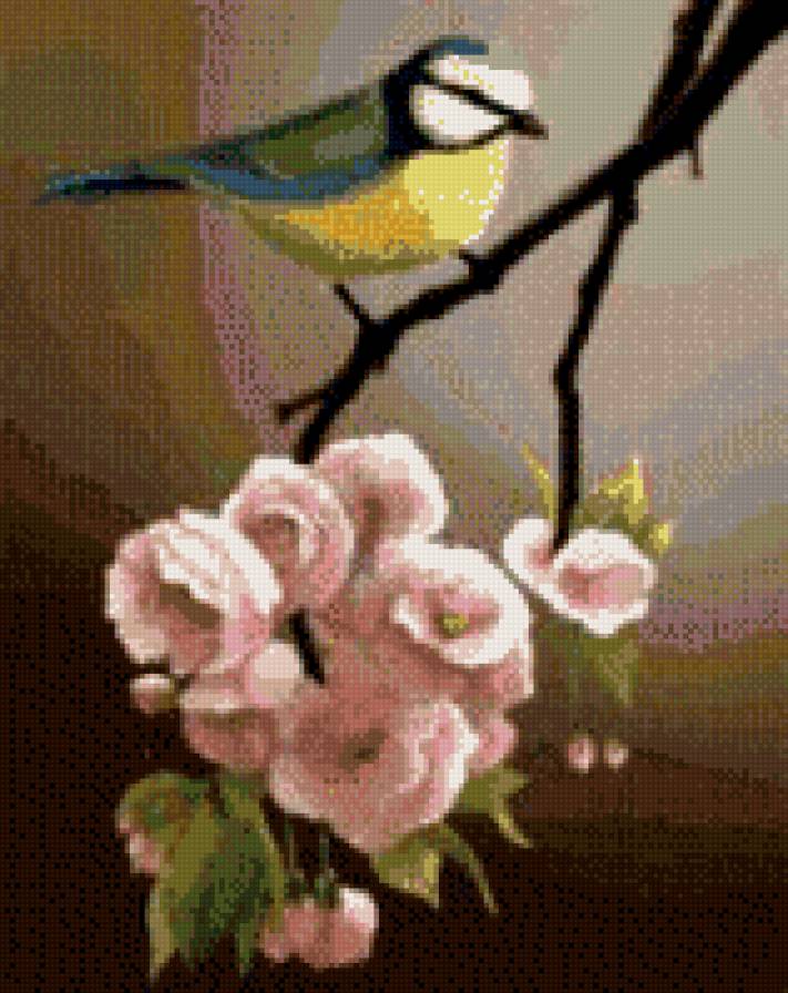 сакура и синица - ветка, птица, цветок - предпросмотр