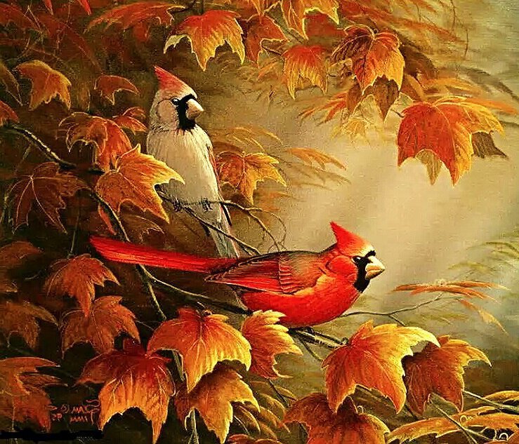 Птицы - птицы - оригинал