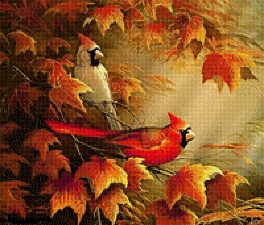 Птицы - птицы - предпросмотр