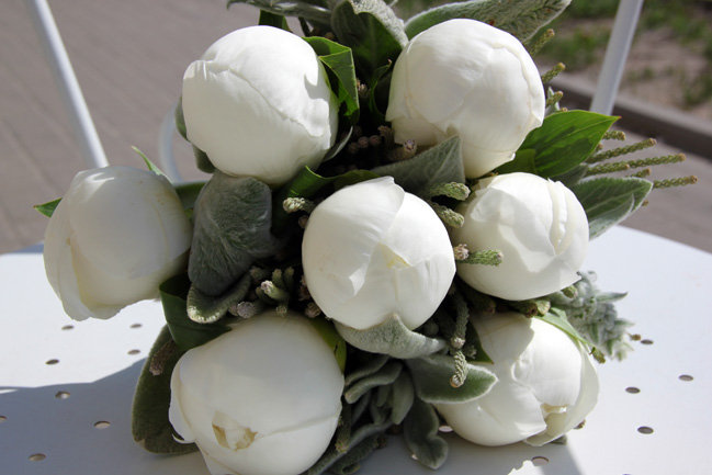 Белые пионы - белые пионы - оригинал