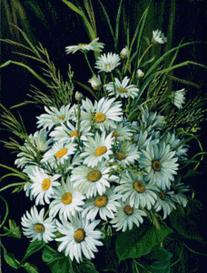 ромашки - ромашки, букет, лето, живопись, цветы - предпросмотр