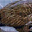 Предпросмотр схемы вышивки «утки на пруду» (№632923)