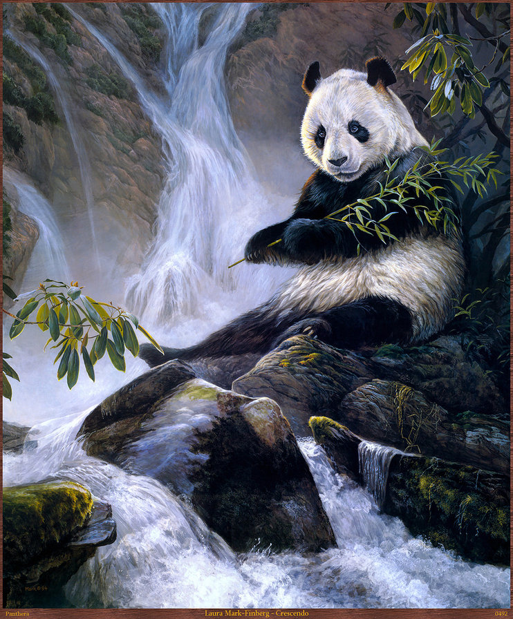 панда - природа, животные, панда - оригинал