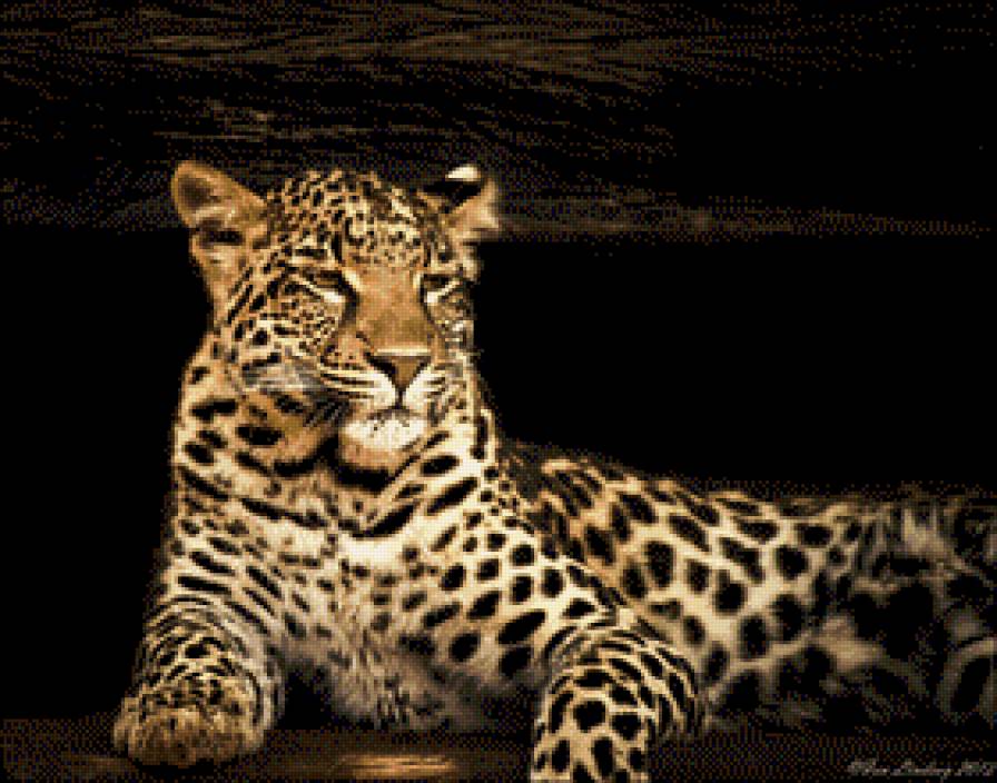 lampart - предпросмотр