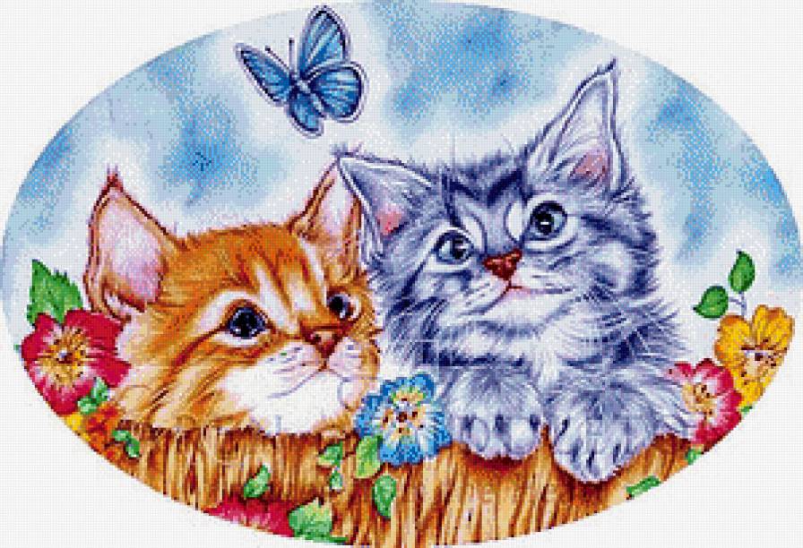 Котята - кошки, животные - предпросмотр