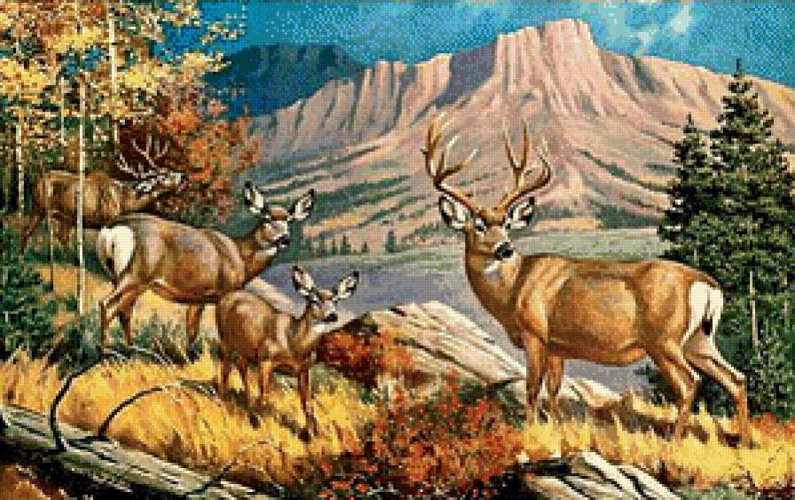 Осень в горах - пейзаж, горы, олени, осень - предпросмотр