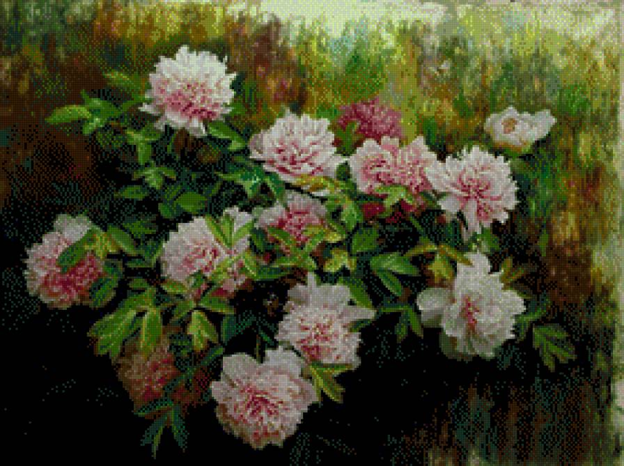 Jiang Zongqiang-Peonie - peonie - предпросмотр