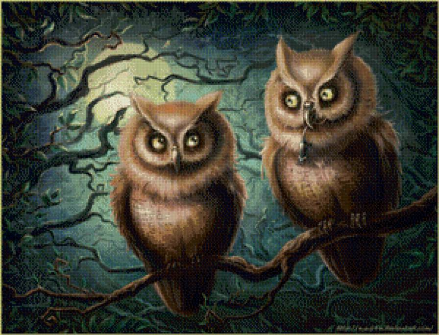 Совы - птицы, дерево - предпросмотр