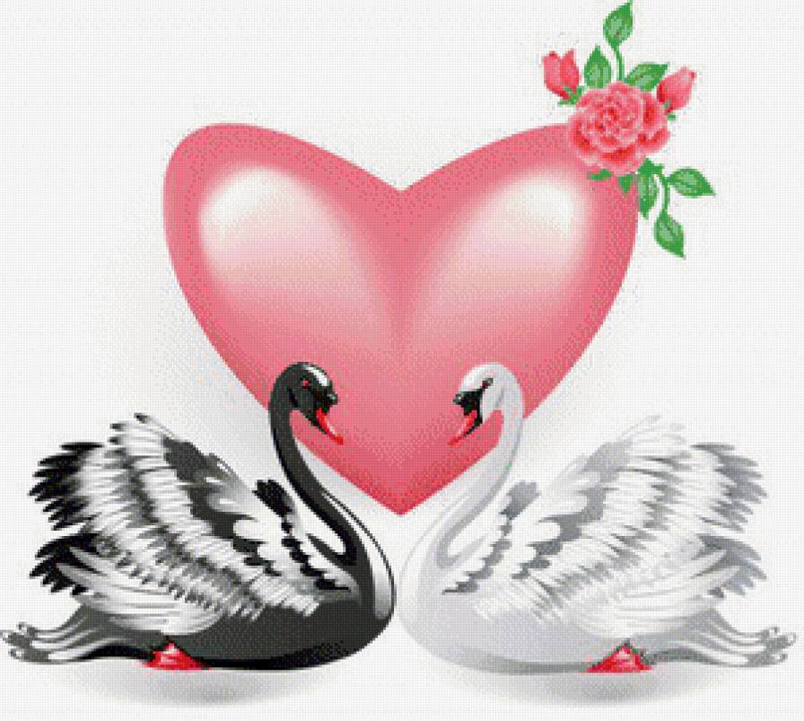 Лебеди - сердце, птицы, пара, любовь - предпросмотр