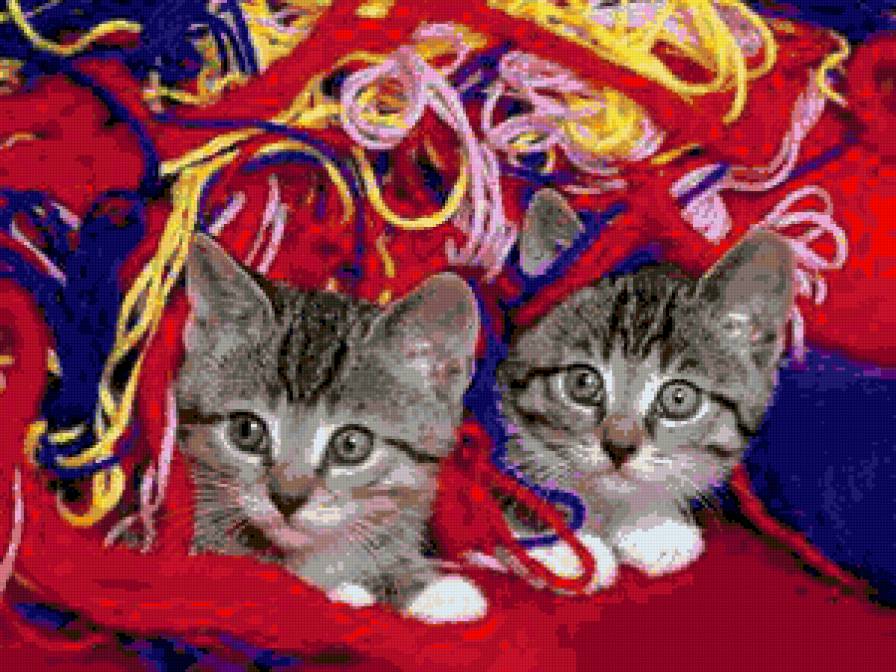 доигрались - котики - предпросмотр