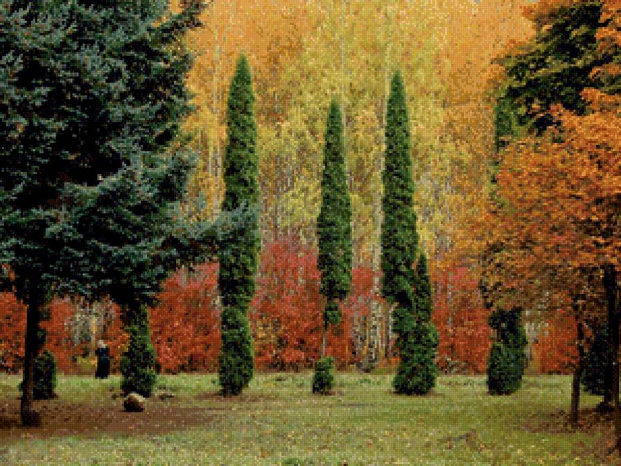 серия "осень" - природа.пейзаж.парк.осень - предпросмотр