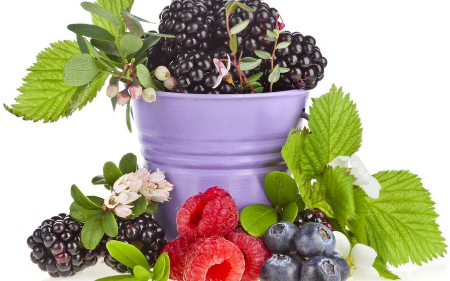 №633528 - кухня - оригинал