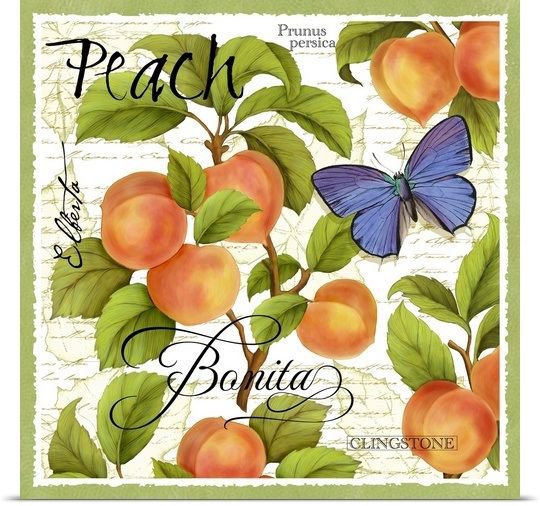 картинка на кухню - персики, зеленые, листья, бабочка, надпись, рамка - оригинал