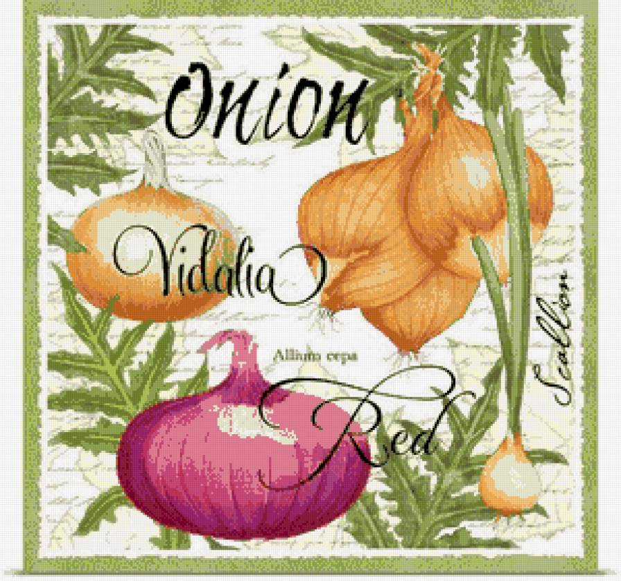 картинка на кухню - листья салата, зелень, рамка, надпись, лук, репчатый - предпросмотр