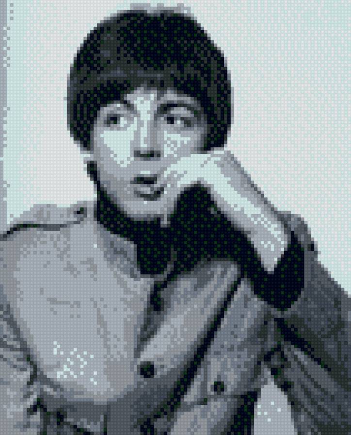 Полл Макартни - предпросмотр