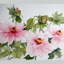 Схема вышивки «№633636»