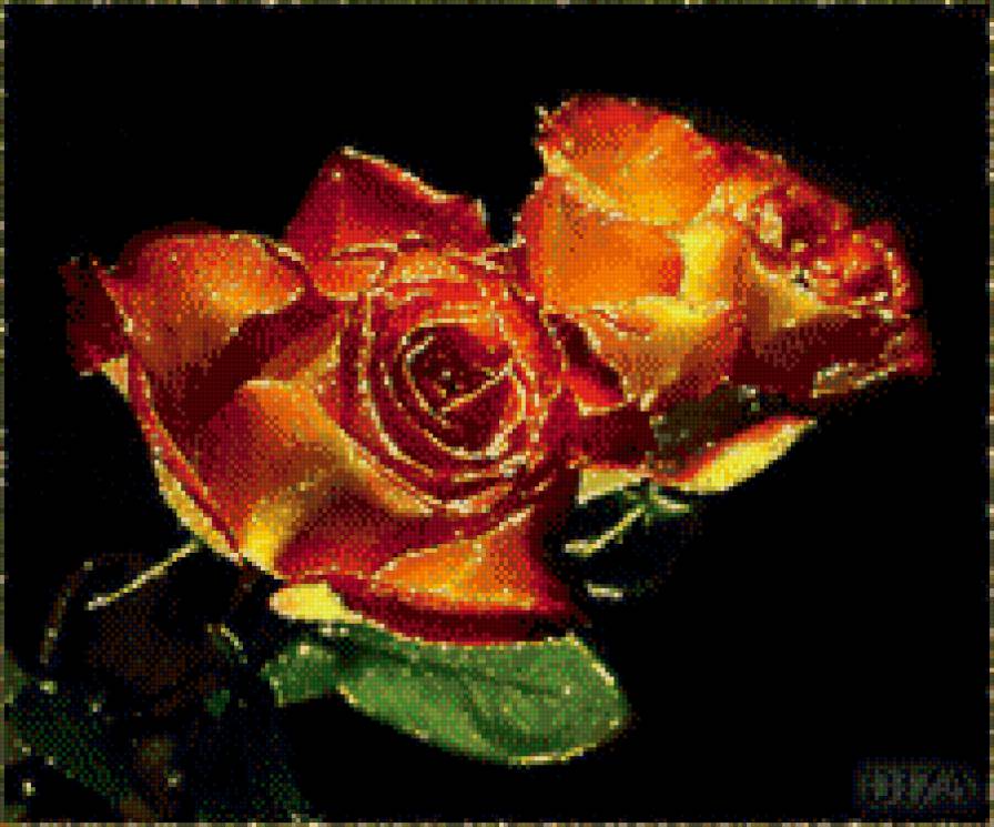 №633641 - розы - предпросмотр