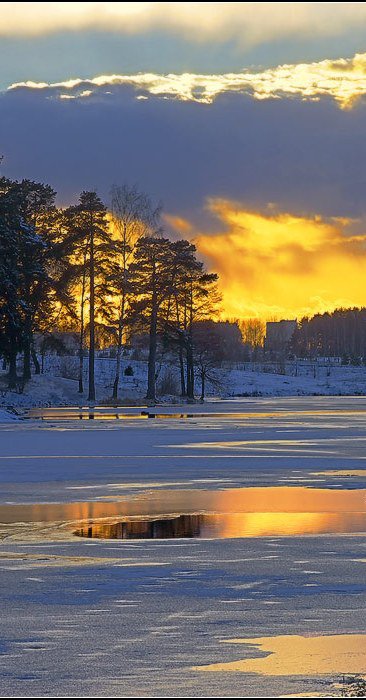 проталины - оригинал