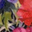 Предпросмотр схемы вышивки «разноцветные маки» (№633738)
