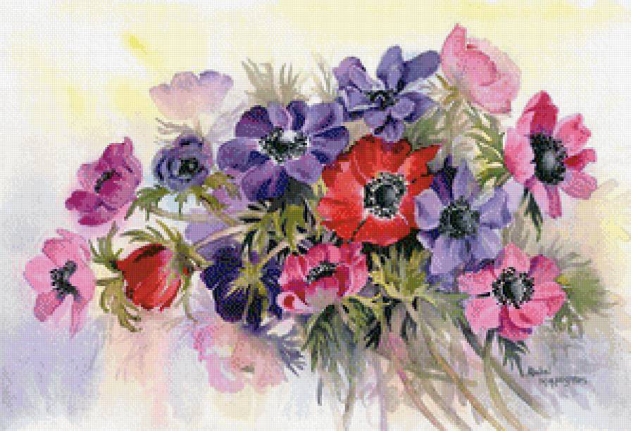 разноцветные маки - красота, лето, маки, букет, живопись, цветы - предпросмотр