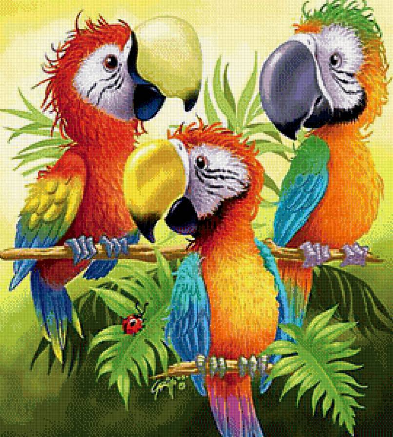 попугаи - птицы, детское, животные, приррода, попугай - предпросмотр