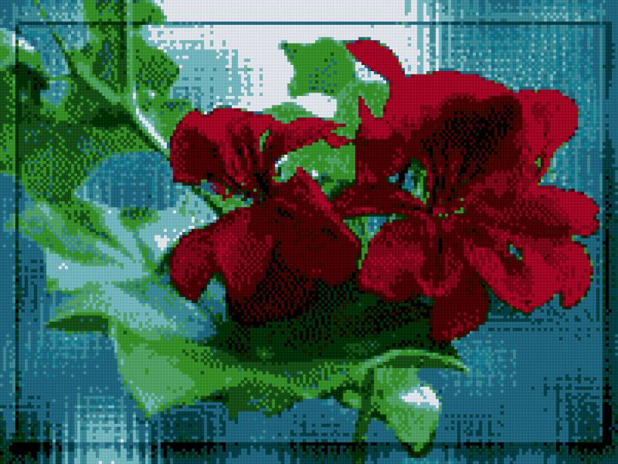 герань - цветы, букет - предпросмотр