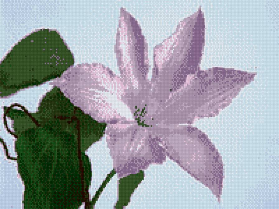 цветик - веточка, цветы - предпросмотр