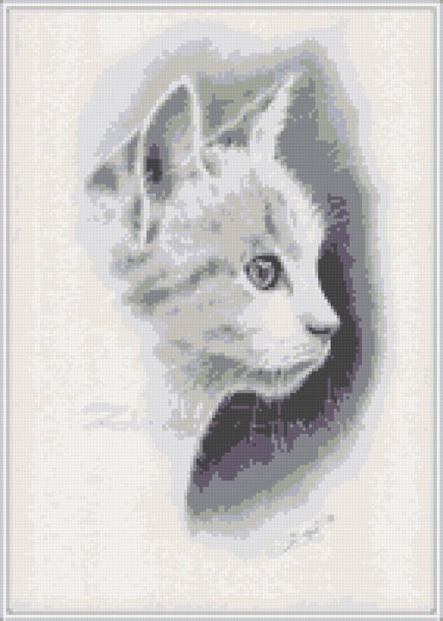 киса - звери, кошка, черно-белое - предпросмотр