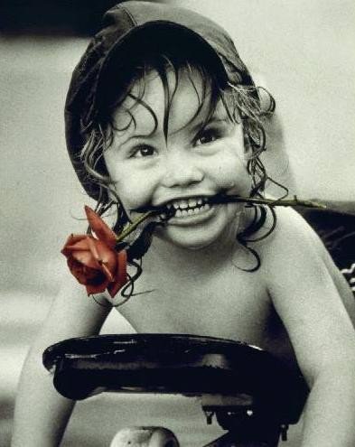 Kim Anderson - kwiaty - оригинал