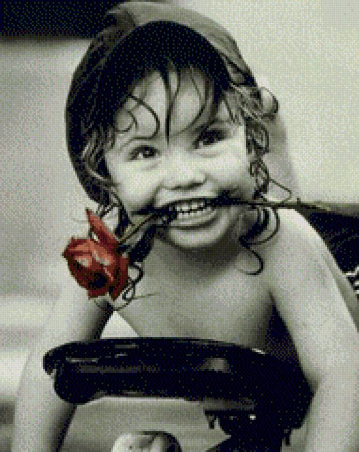 Kim Anderson - kwiaty - предпросмотр