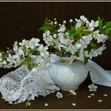 Схема вышивки «белый цвет черемухи»