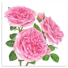 Оригинал схемы вышивки «Розовые розы» (№634190)