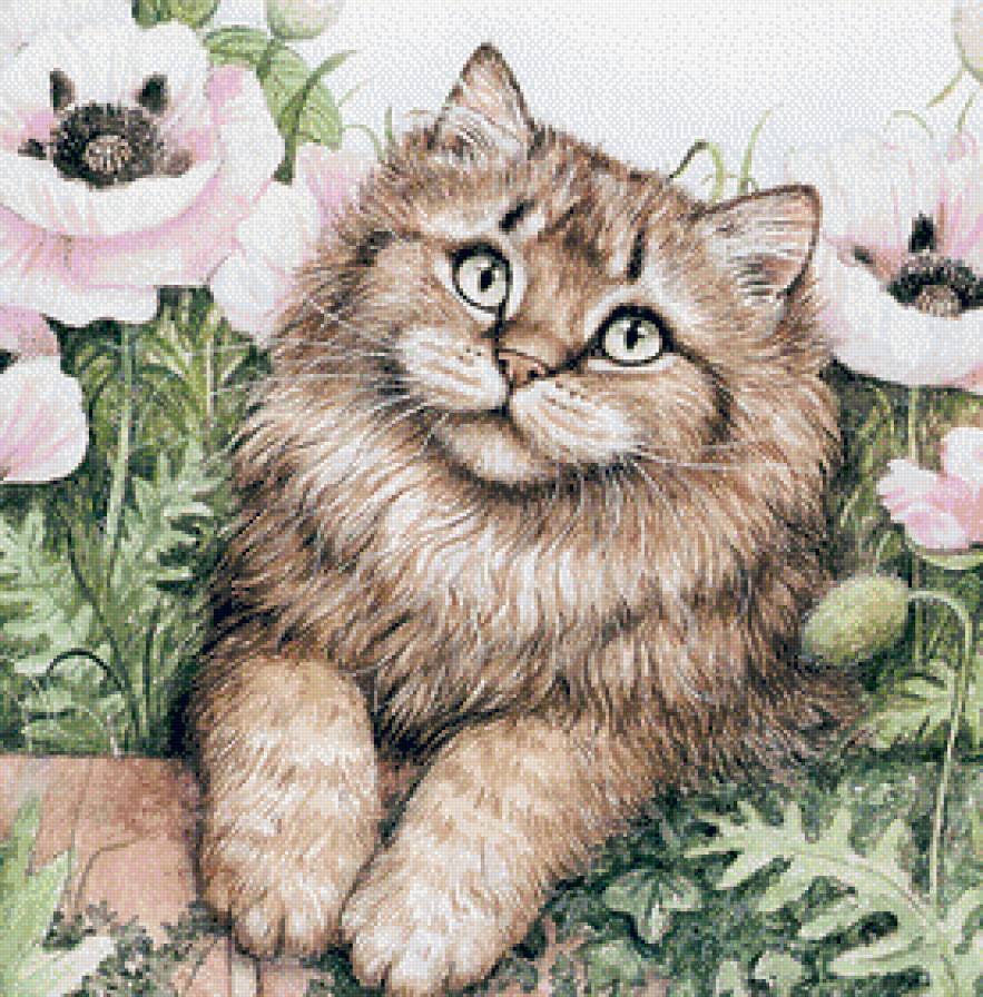 Котик - кот, животные - предпросмотр