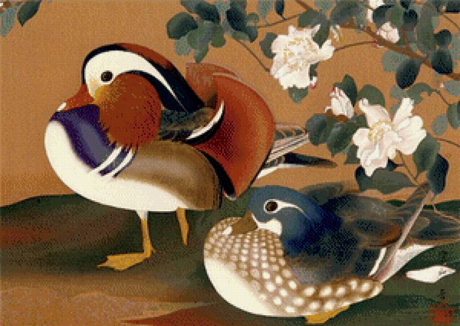 Мандаринки - птицы, утки - предпросмотр