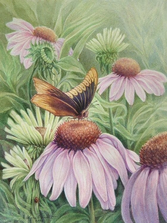 цветы и бабочки - оригинал