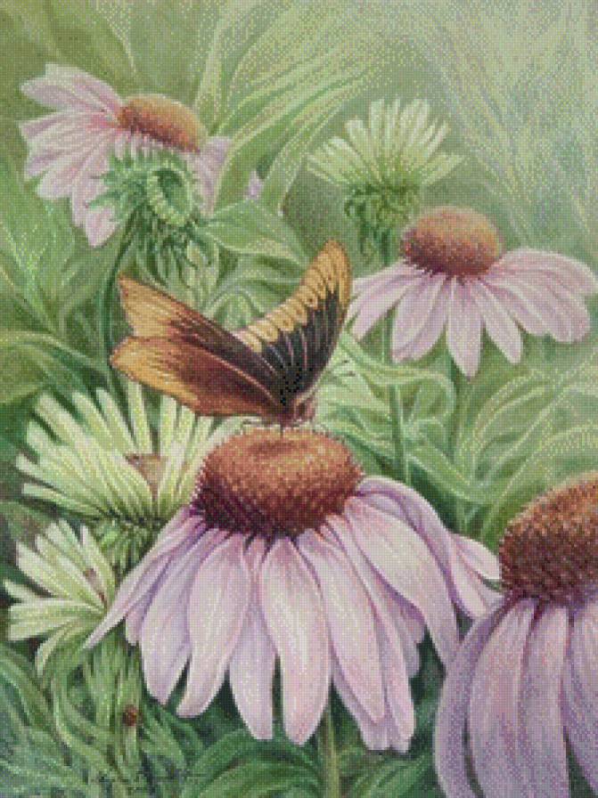 цветы и бабочки - предпросмотр