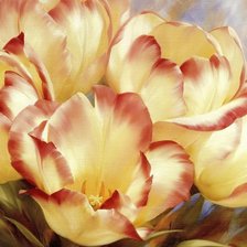 Схема вышивки «Тюльпаны»