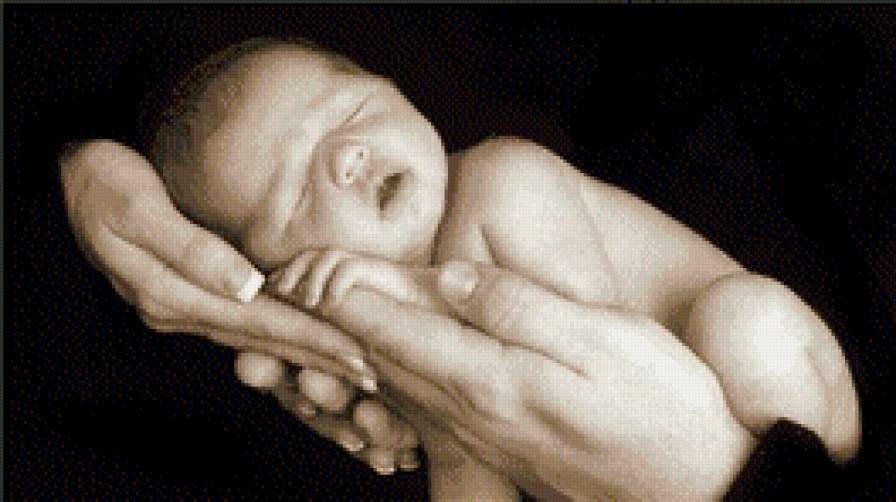 счастье родителей - семья, ребенок, новорожденный, любовь, руки - предпросмотр