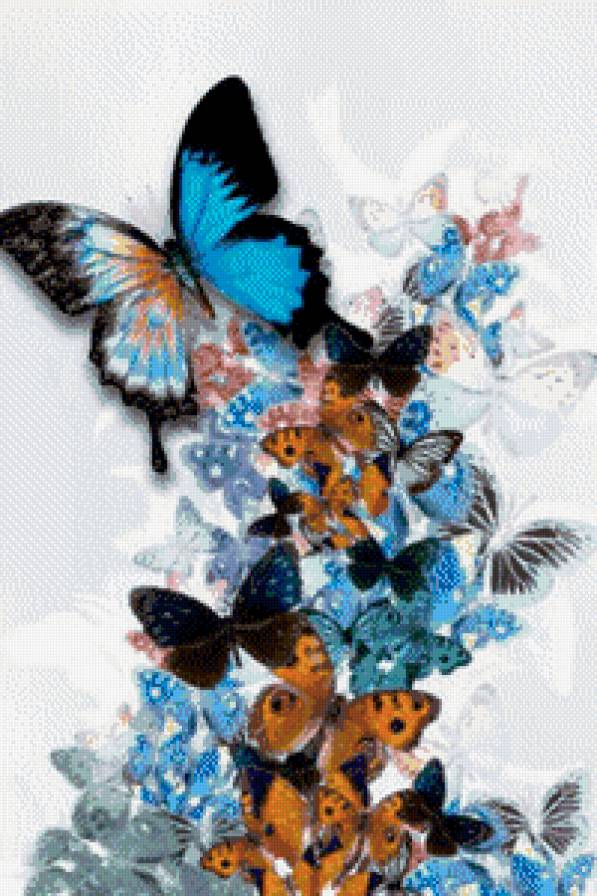 №634660 - бабочки - предпросмотр