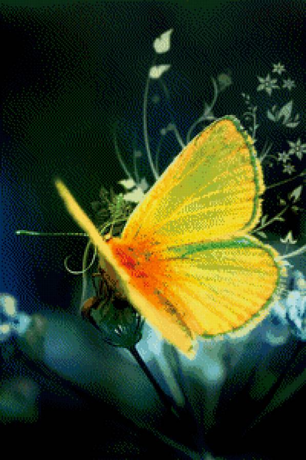 №634681 - бабочки - предпросмотр