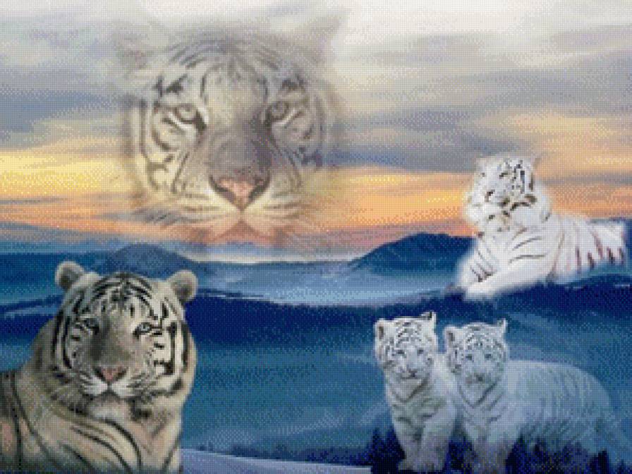 семейство тигров - животные, тигр, звери, кошка - предпросмотр