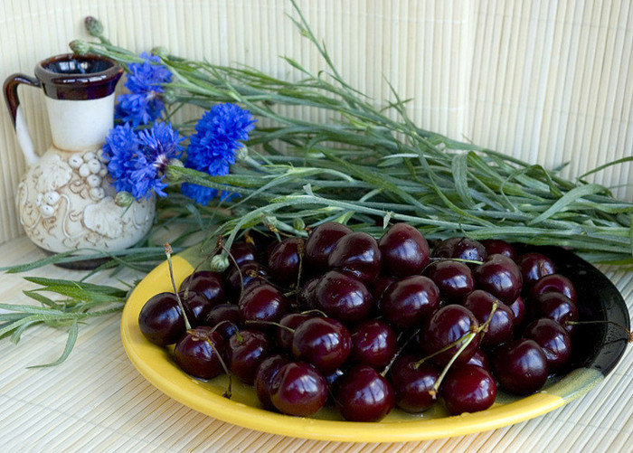 натюрморт с вишней - картина - оригинал