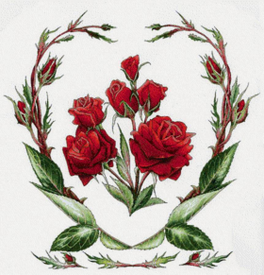 розы - предпросмотр