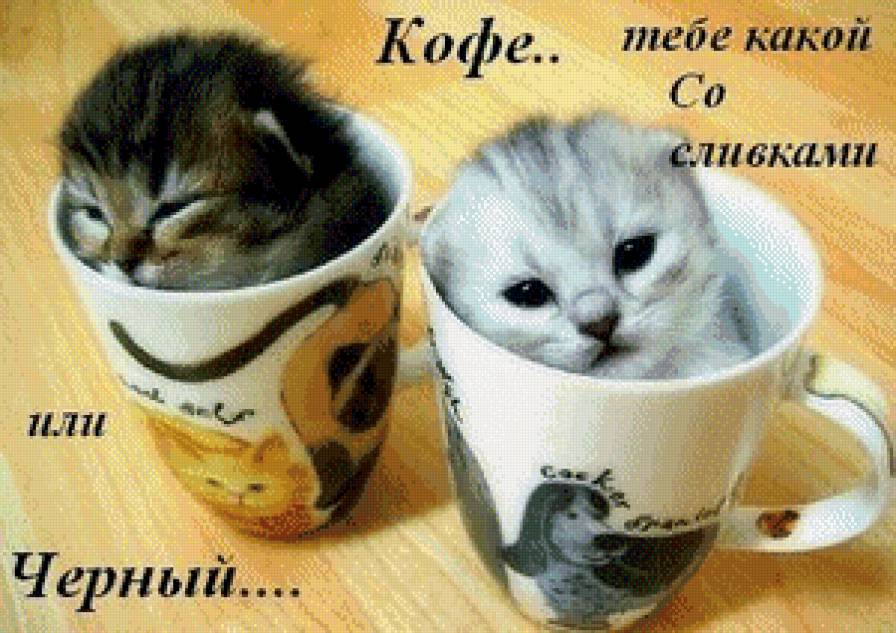 Котята в чашке - котята, кофе, кухня - предпросмотр