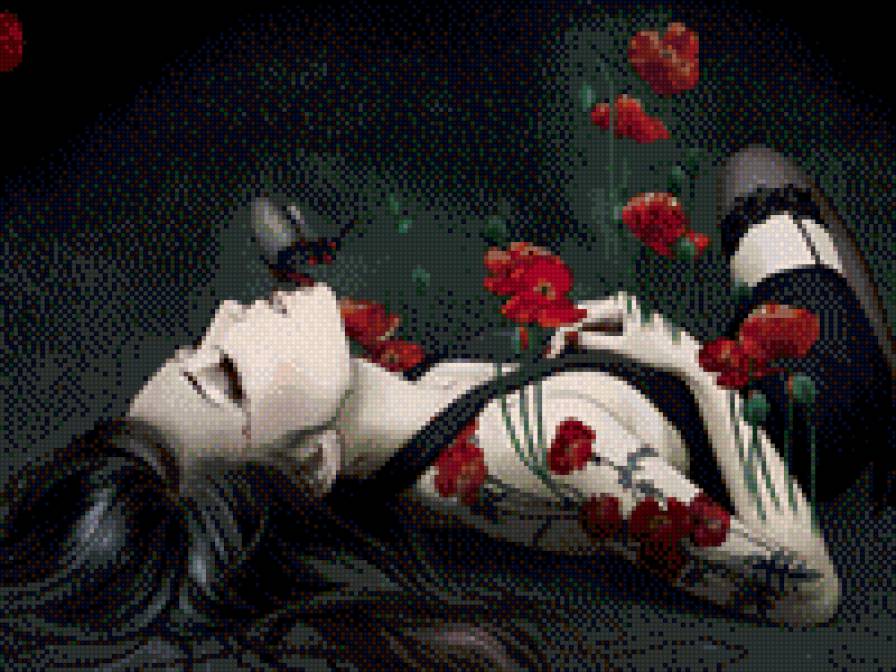 девушка с маками - предпросмотр