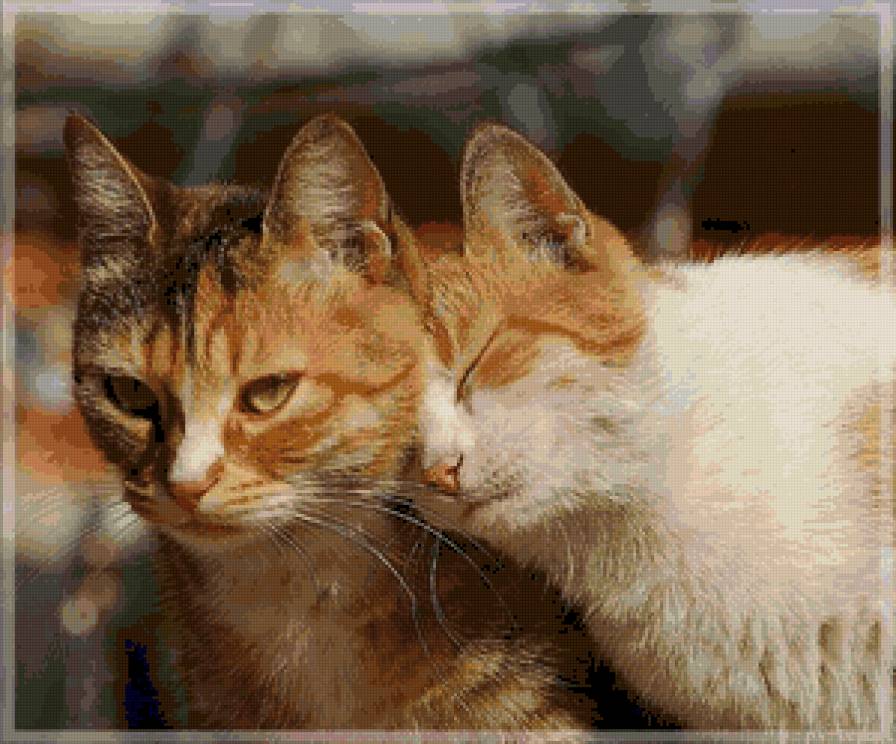 ну прости я больше не буду... - котики - предпросмотр